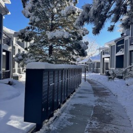 a snowy walkway with mailboxes