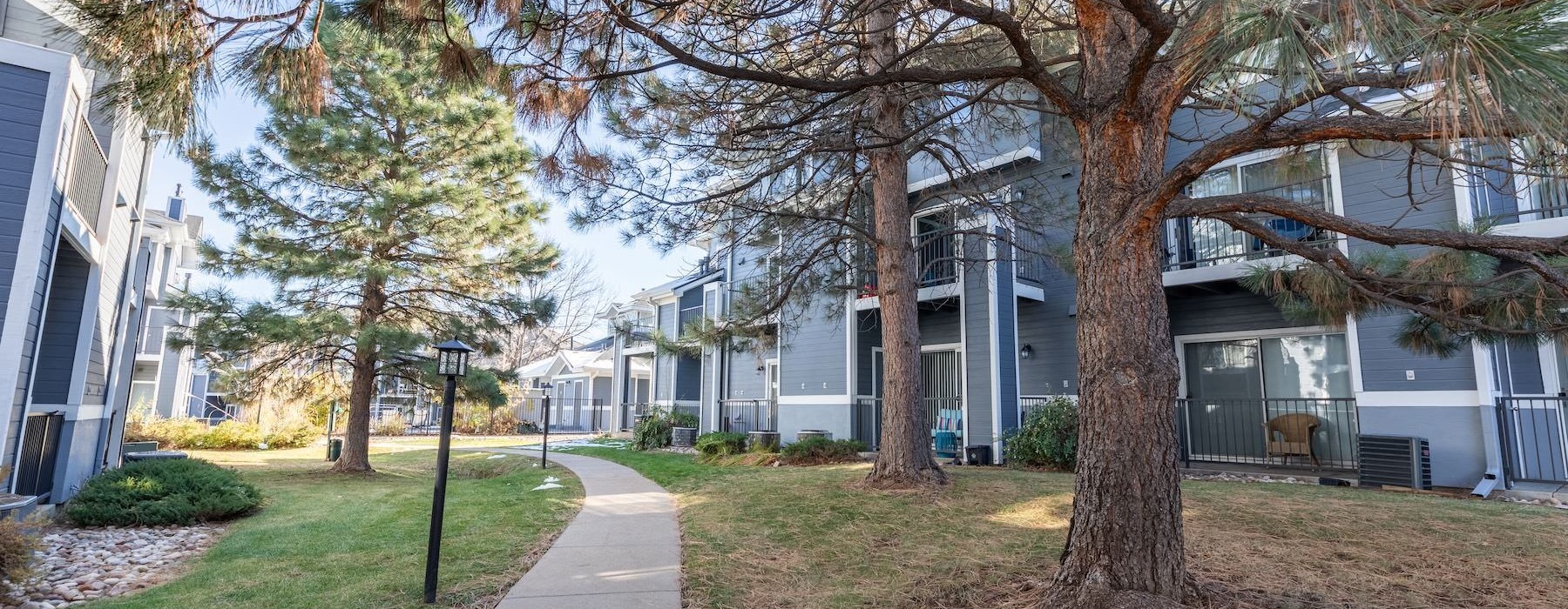 a sidewalk and trees next to a building