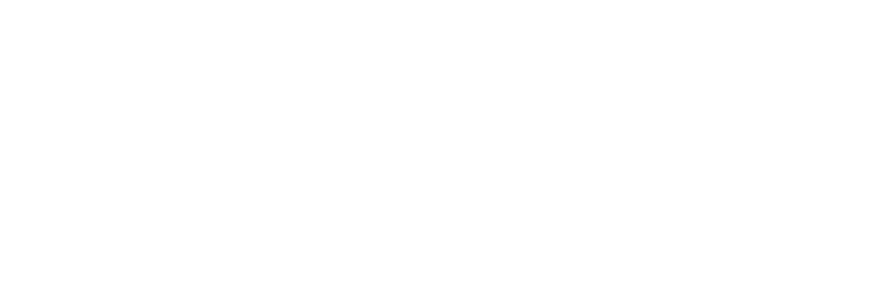 Union Baseline Logo